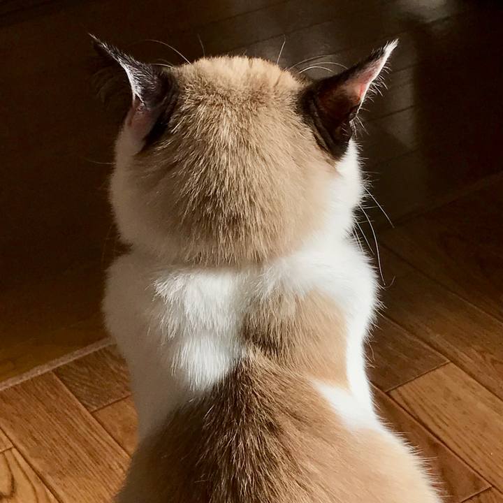 5516d107 3275 4870 98eb 7c11449023e1