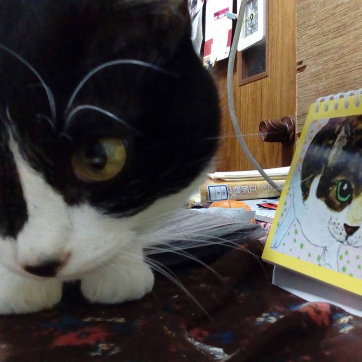 5516d4d9 51ba 4abe 91f1 087da596fbbe