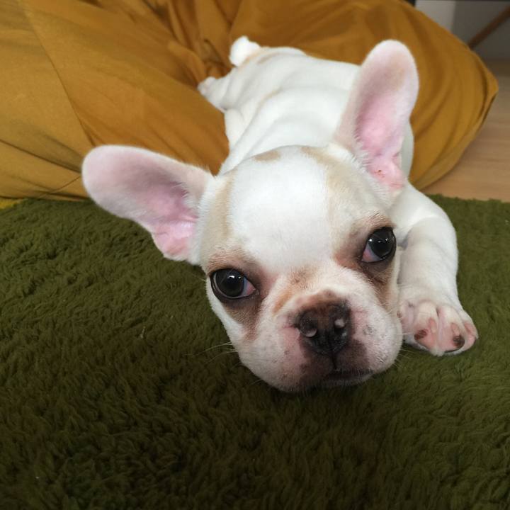 551726da 01b0 45d1 99fd b48f78df2589