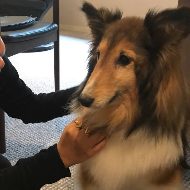 55174f4d de59 4342 9426 fc4c8b9d5774