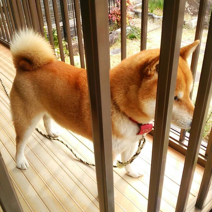 55176ee4 b71f 4761 b8b8 3e309a8254e1