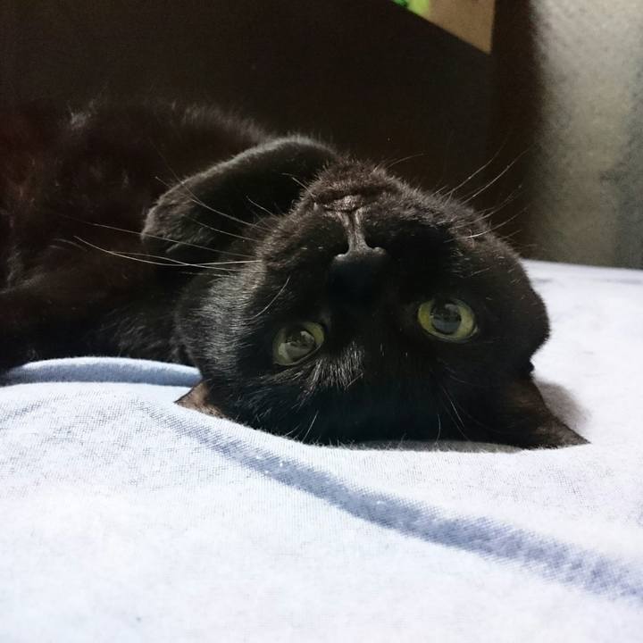 55180870 69bb 47e3 aeee f7c4e2dd0fc5