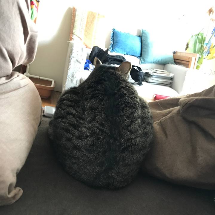 55185623 d4af 4159 9904 346381053f60