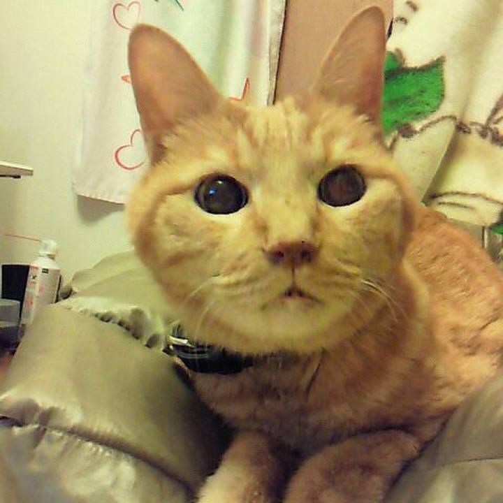 5518fac6 32ca 4625 8f27 d1c25ab28038