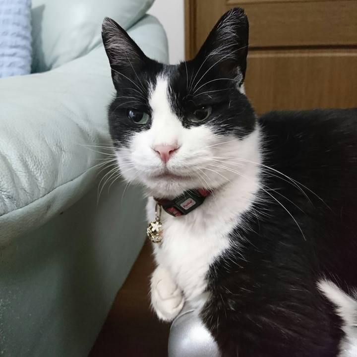 55195c1d 9d16 4c25 92a4 3cff2c08532b