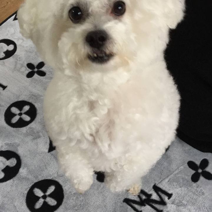 55199c7a c6c7 4232 ae03 e343c98405a3