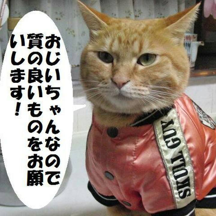 5519bd64 e148 4822 aae3 fa7b5d89dbac