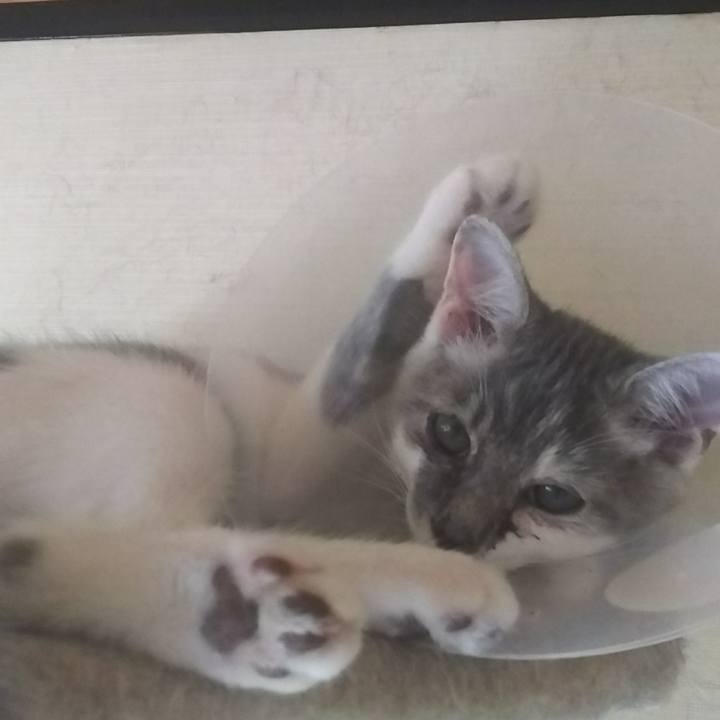 551aba2d d316 4103 abfd 7e43901a6b49