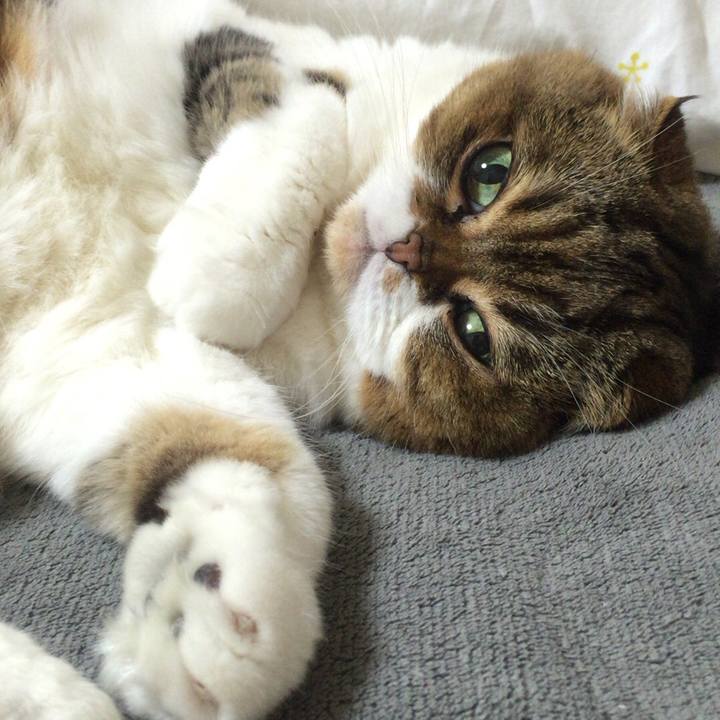 551ad8f5 cee9 49e7 9783 ff5e9acad58a