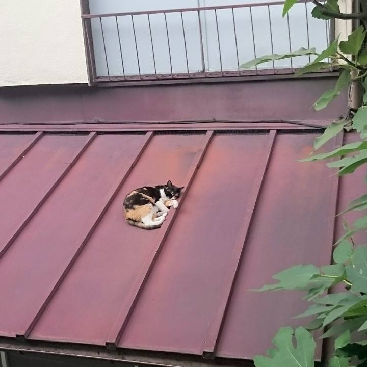 551ae985 f3fb 4c13 8782 1acd2aac13af