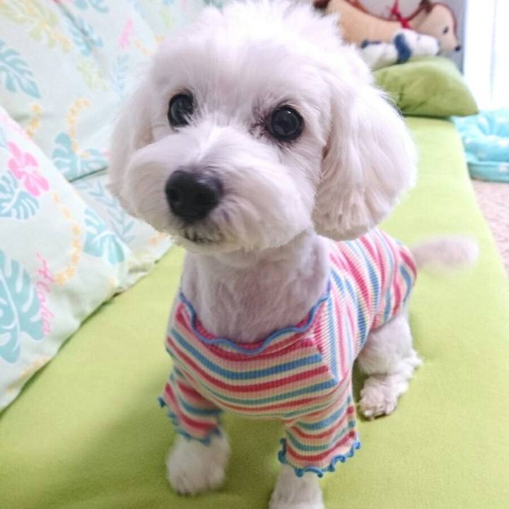 551b0463 3009 4c8c b87c b730d511f4d7