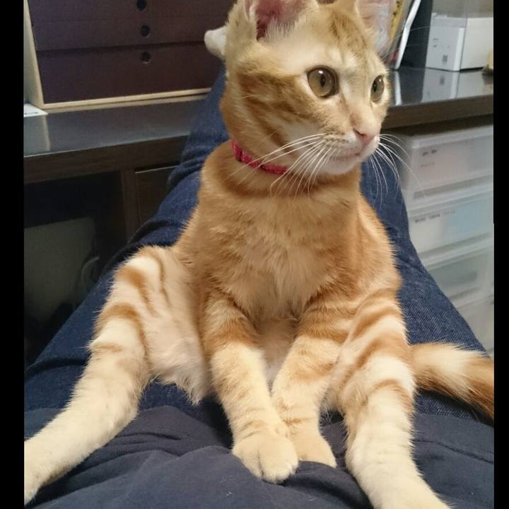 551b601d e5d5 4a56 b059 7bba0941a653