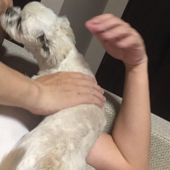 551b8a51 8bed 47fb ad07 71d21df9089a