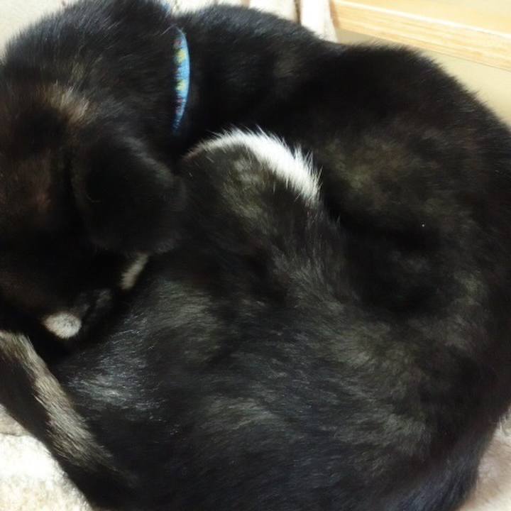 551ba2a0 2d9a 4260 8abf a68c0bb4cf0b