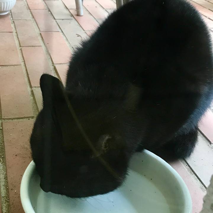 551be044 b8b8 451f 82ab b4e54d5642d5