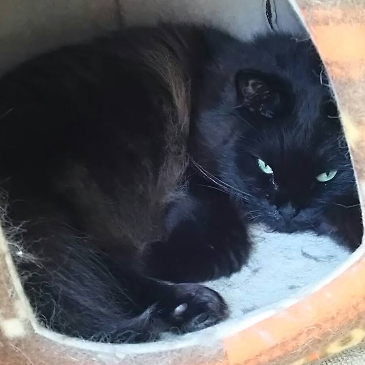 551ca016 2eef 4a9d a923 ad2c3d7de570