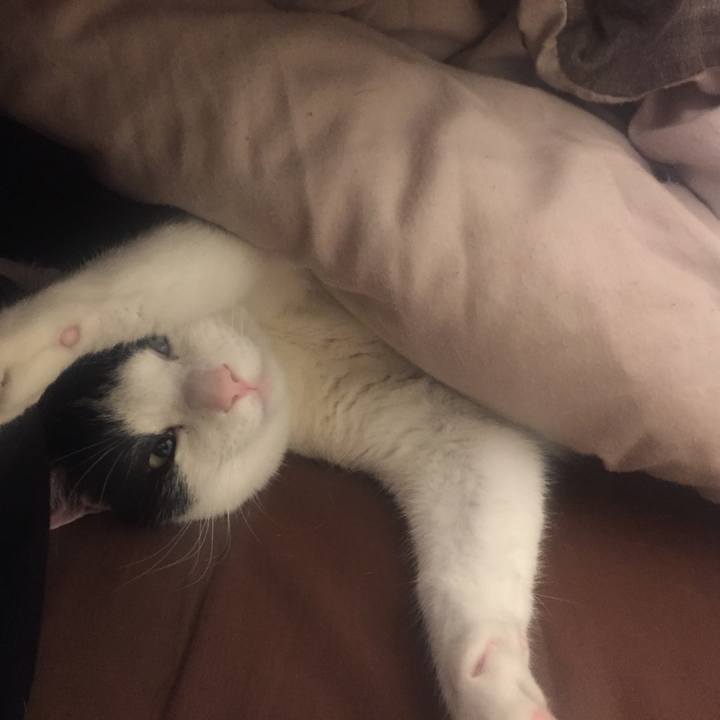 551cc6c0 79e4 476f a687 5faec67de480