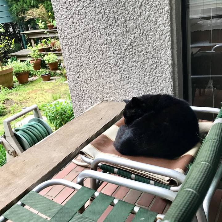 551e7511 eb7c 400e 8ad1 084a6e637a22