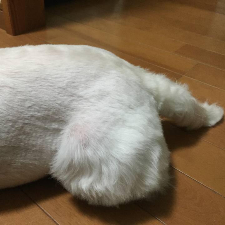 551eb0ff 612a 401e af2b c59a150243f7