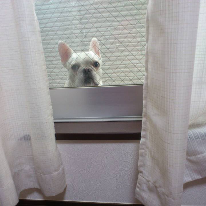 551ed4a3 5d73 43e7 853c f03b5a1d31e0