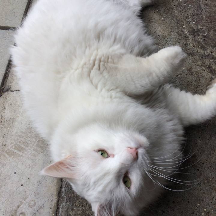 551f1c83 2072 469b b141 a222af62f626