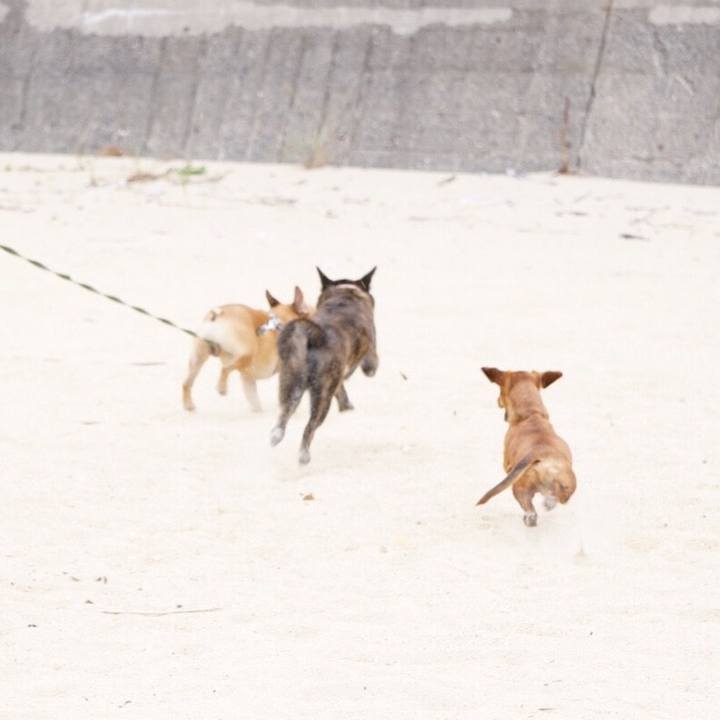 551f33d4 d358 4ee9 80ce 691ef41ad28e