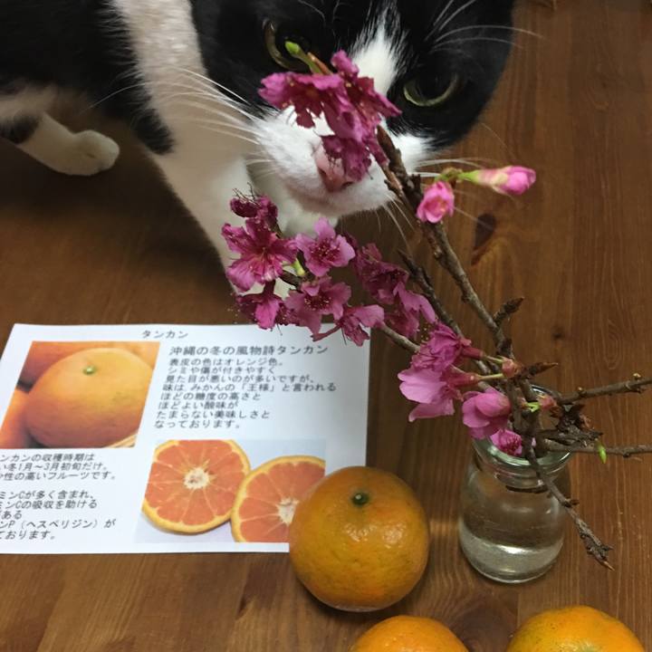 551ff75a f368 49b4 9c35 c57dba12bf00