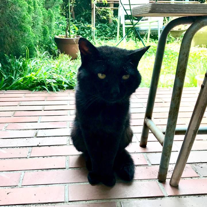 5520934b 9cd6 4991 ac2f 292cf262a59a