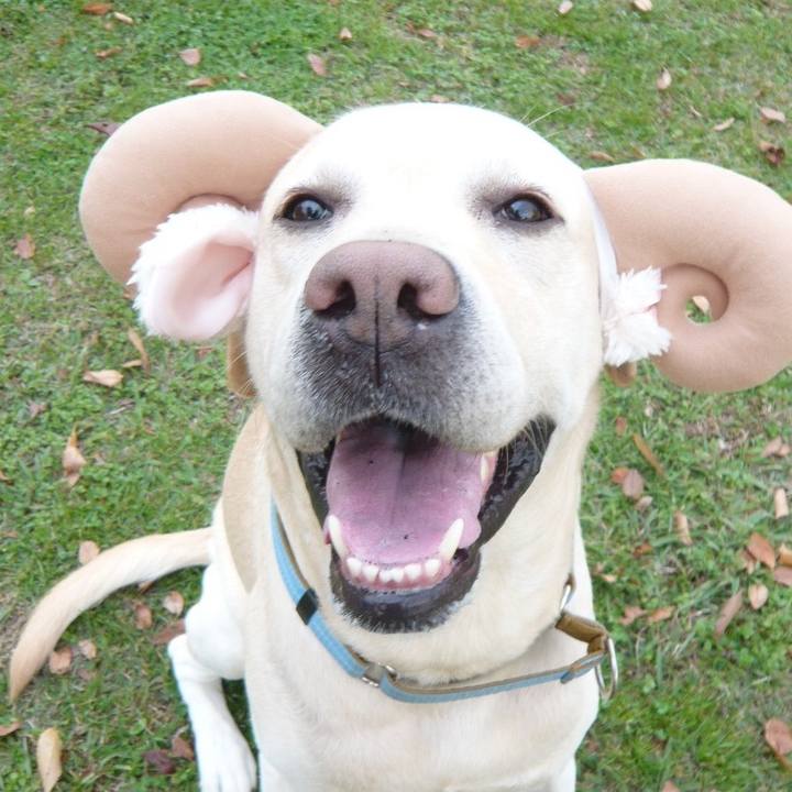 55210348 9741 4146 bb9f 150a4cf88a7a