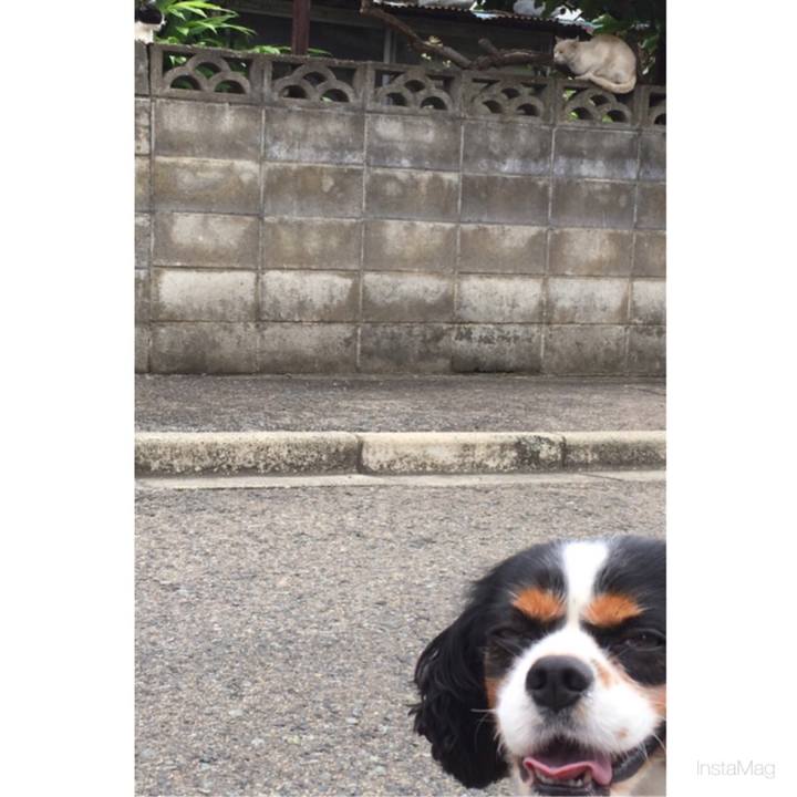 552188fe c9a6 4cbc a4e2 e4ba5bf85cb7