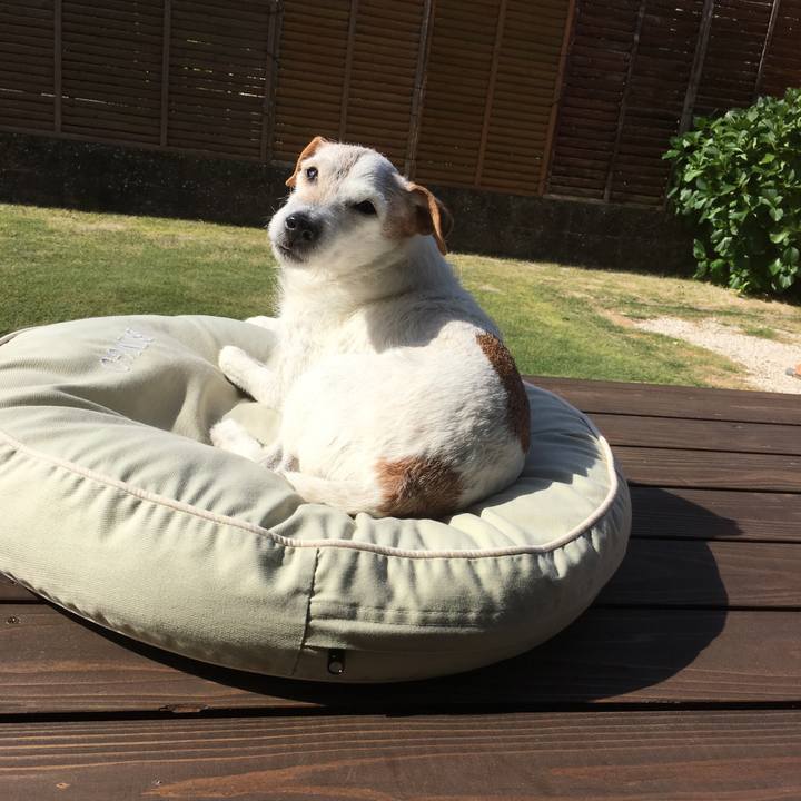 5521db24 13e1 4cd1 ae54 6ae6799d6565