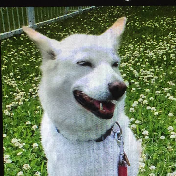 552241fc e7ba 4bac 8bfe 878e6144f334