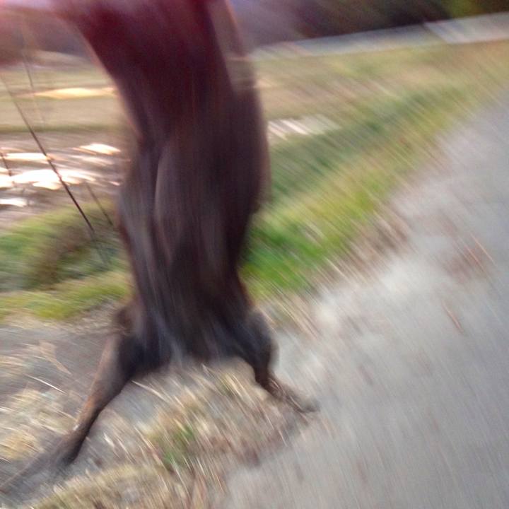 55224846 2aa1 4251 bd47 6d90437b4401