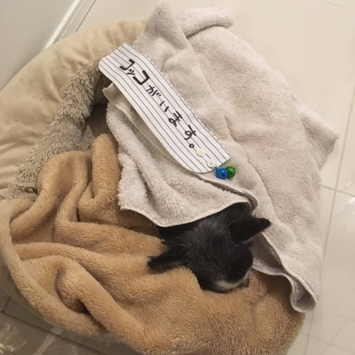 55229bb1 03c4 4a80 8b6f 84932ed97963