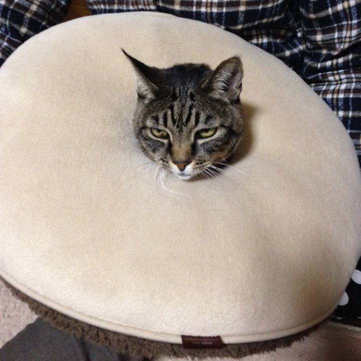 5523197d bfe8 4412 bb2b c5bf78d841f7