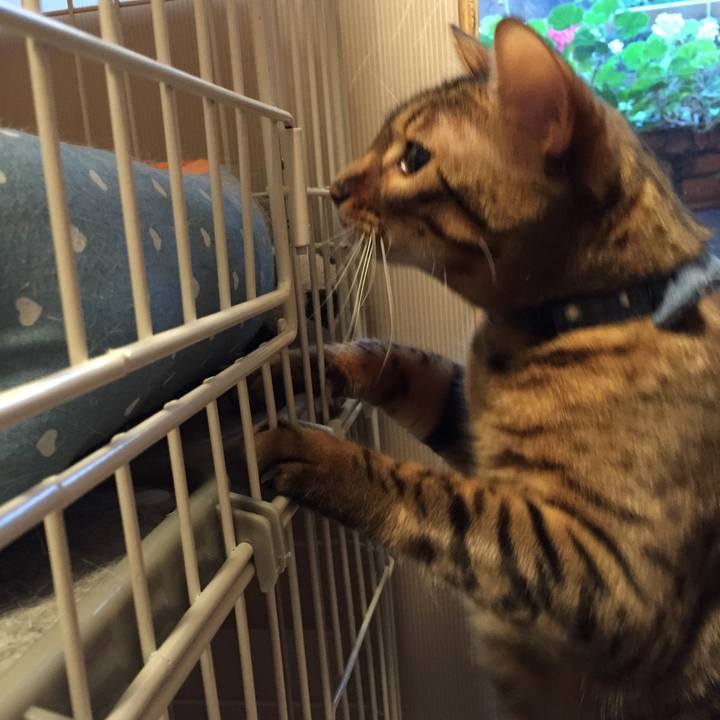 5523bbd2 d29a 422e 9c3c d95e377d6152