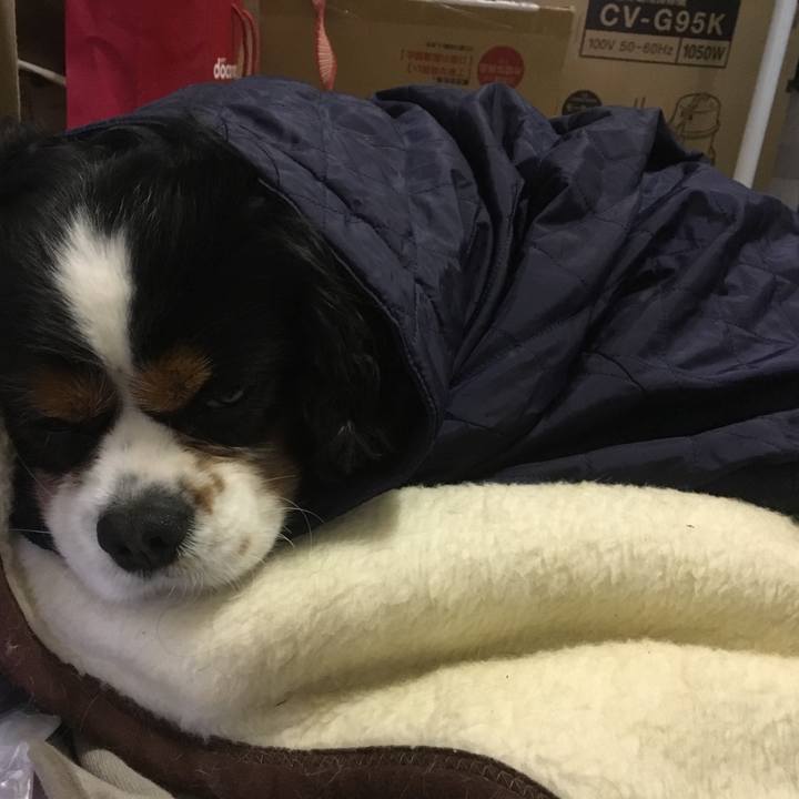 5523bf65 ccae 4bed 9ad2 e48ec096d2da