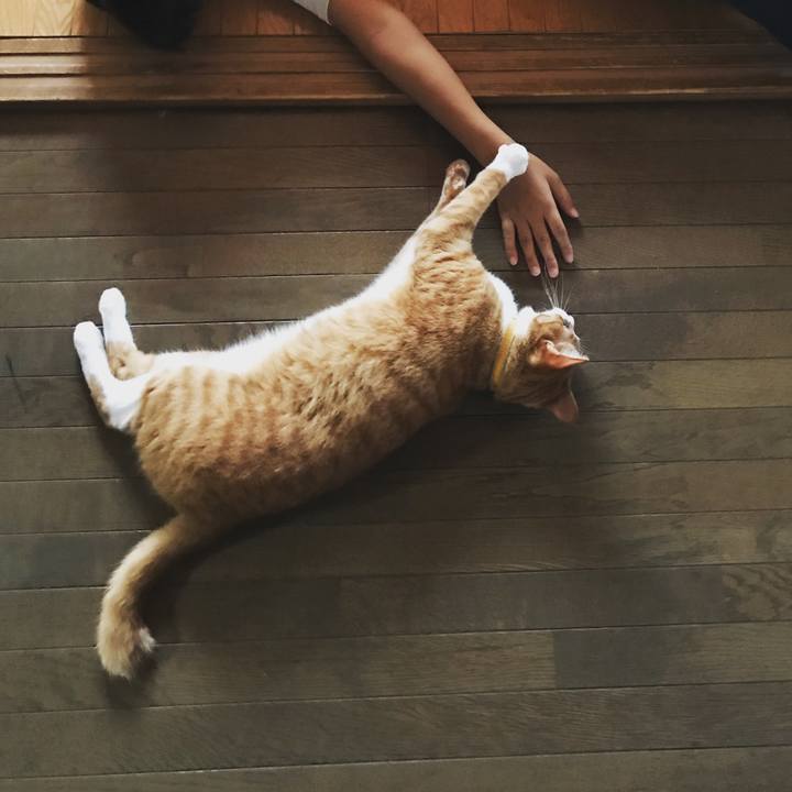 5523d66a 70f4 429b 96b7 88005a71b424