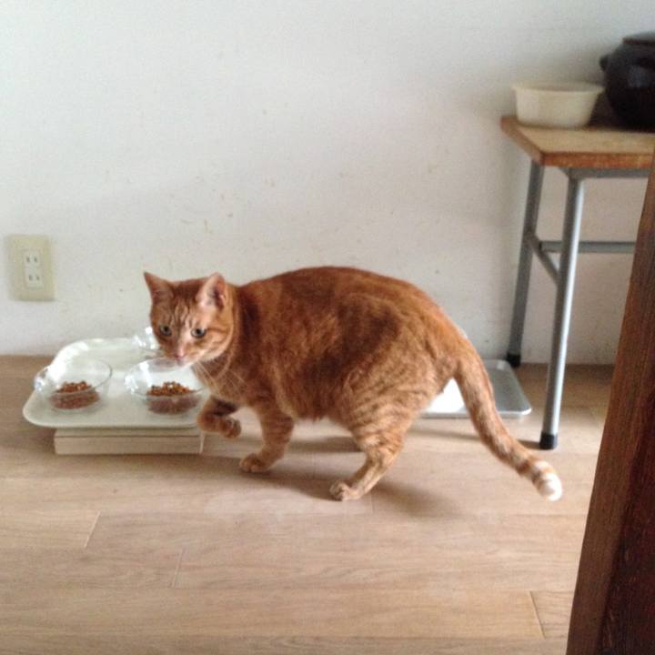 5523df81 5de8 45e6 abd5 6d84db46a02e