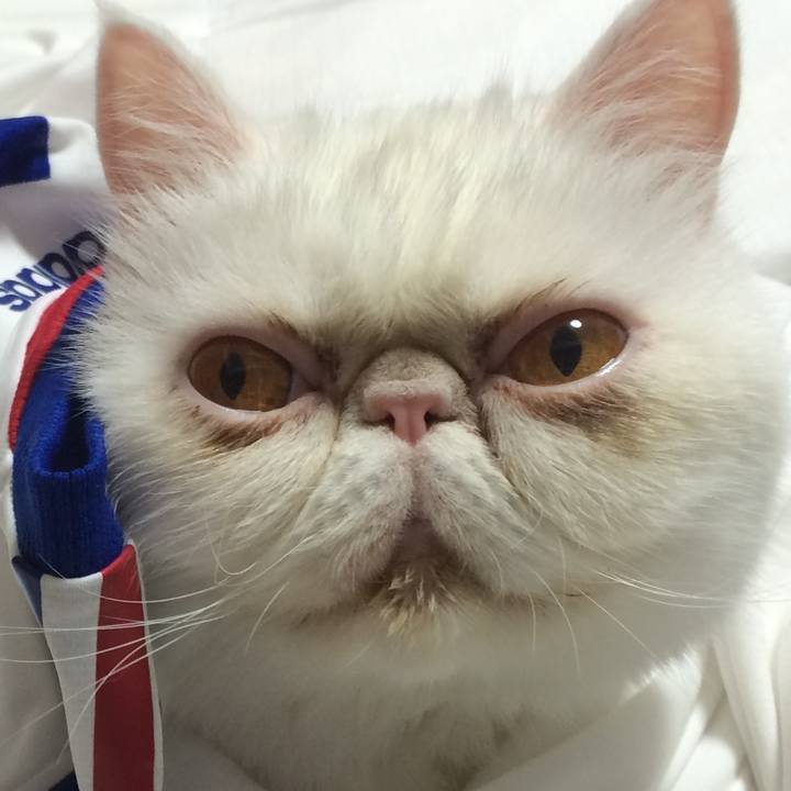 552411b7 36cf 416e bd3a f66090bfaecb