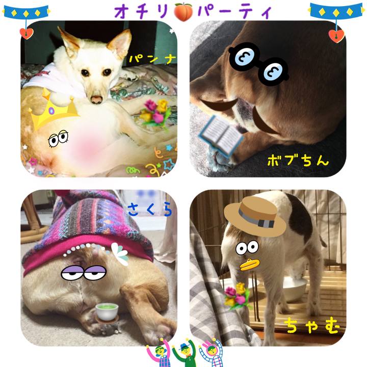 5524a6bc ba37 4c71 8ffa be295f6a70c1