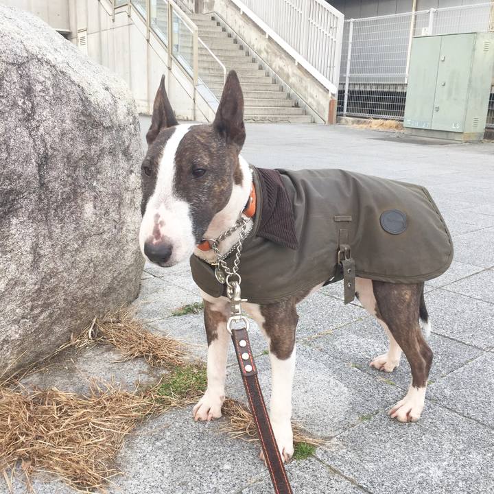 5524f6ff f3b0 4b27 b06b b208c72f2f8a