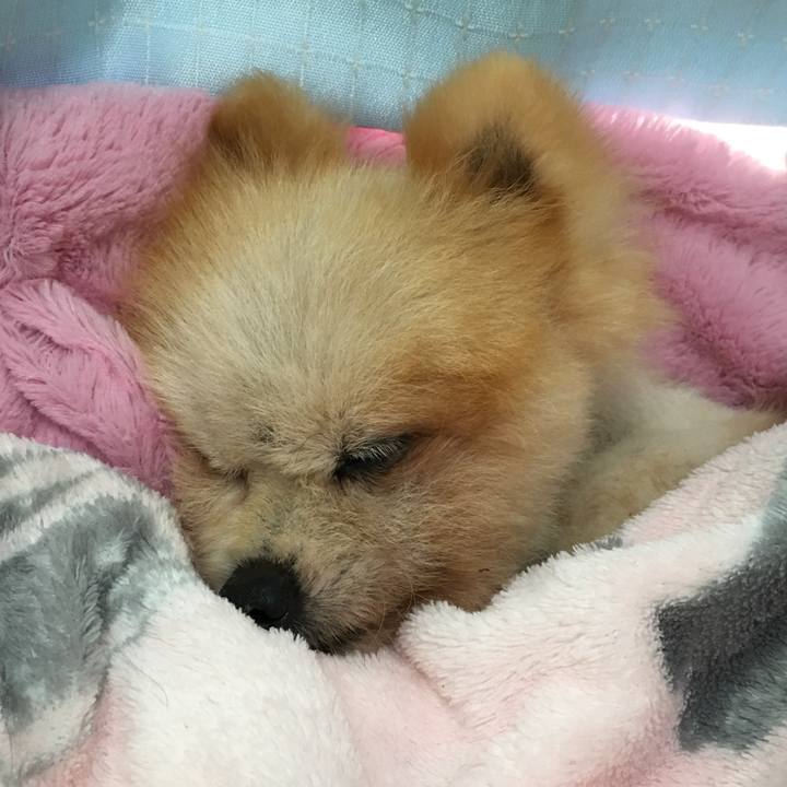 55268420 a6e3 447d 8094 ec09cb0e1918