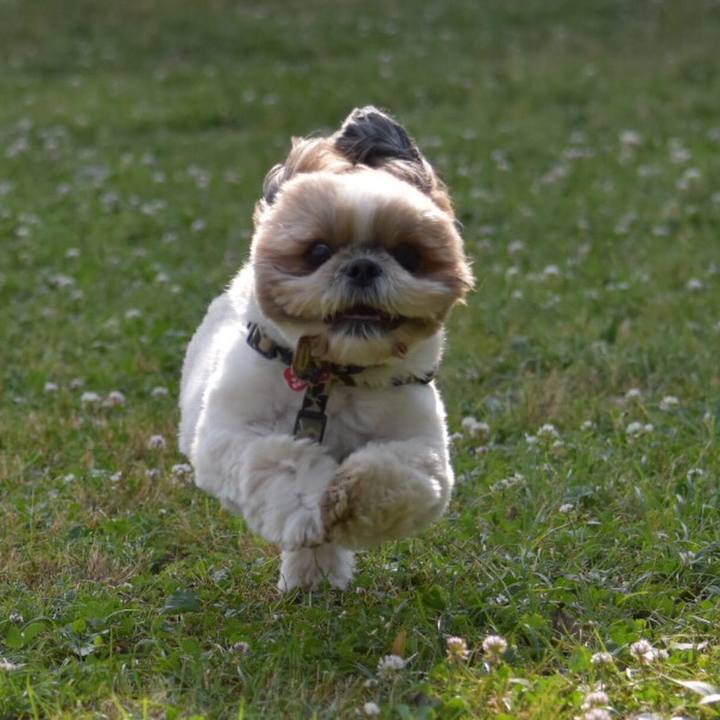 55268e97 4145 4b10 bdbe 4c1f33aa8da6