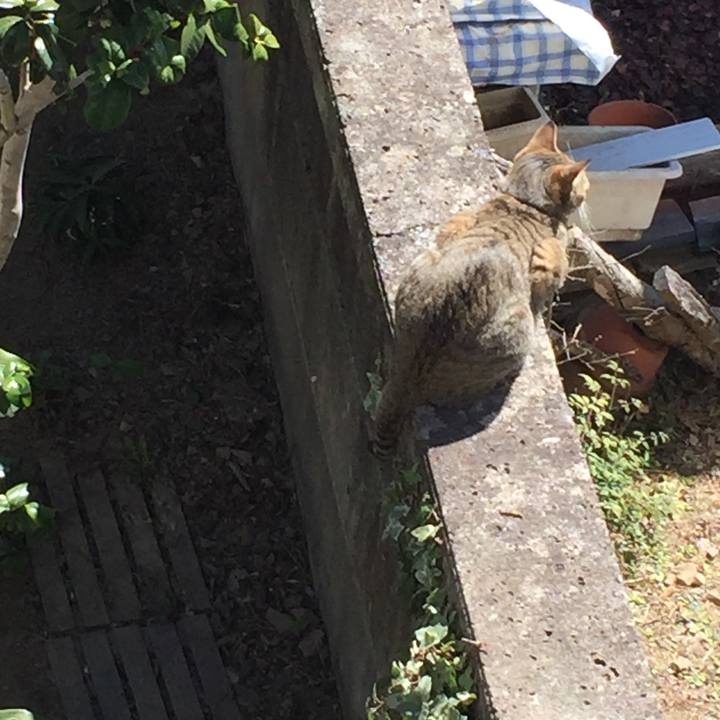 5526a706 d34a 461d a229 c4d09e3886b2