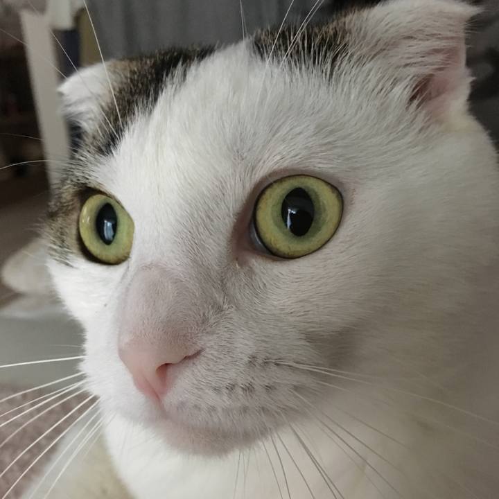 5526e304 fd75 45e5 8e88 386835698e35