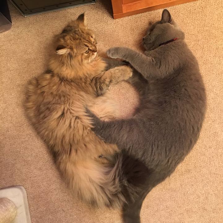 55273563 8d18 4a31 8ad0 5fa29f581b75