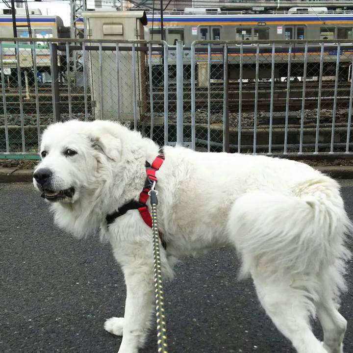 5527d130 b30e 4d22 ab61 9dcd51a84c8b