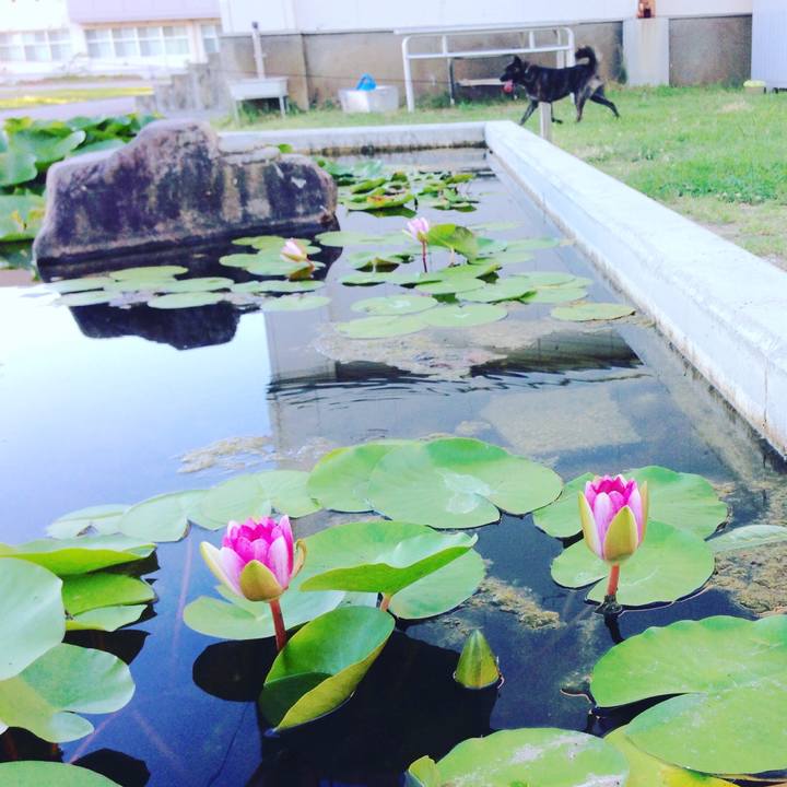 55280bcb 617d 4a07 b1f1 740dc4ea1621