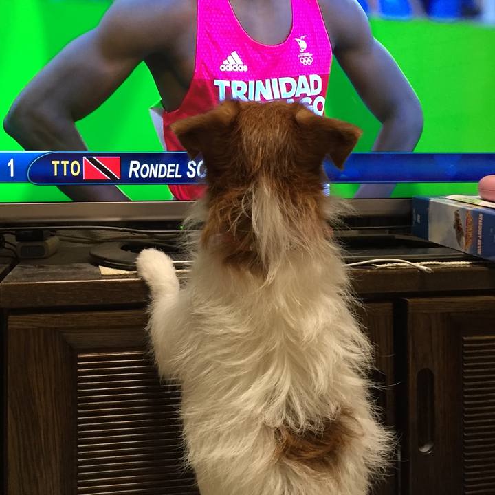 5528141e 7aa9 4dbe b575 a5cc6c242e7e